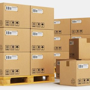Colete Zalau